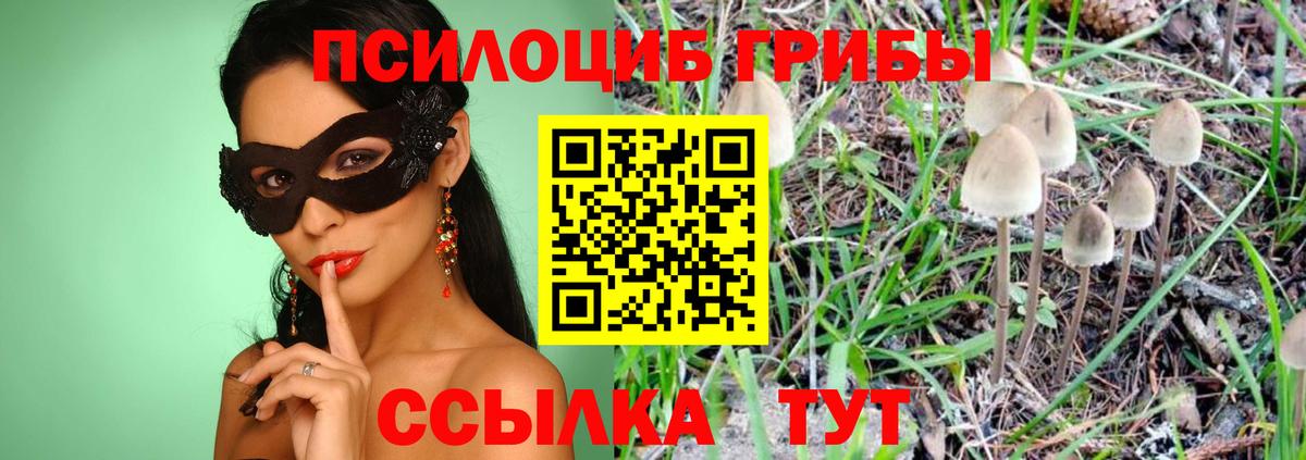 цена наркотик  Псилоцибиновые грибы мухоморы  Вход с VPN  Прохладный 